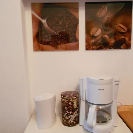 Hofgarten Regensburg